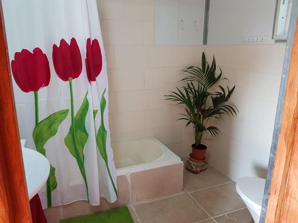 יורט מונגולי Apartment Matzuva Exterior foto